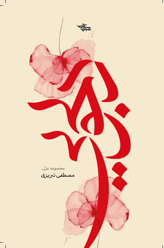 تصویر از دلجویی